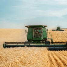 Combine harvester in a wheat field